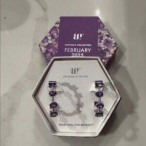 BP Amethyst Purple Earrings